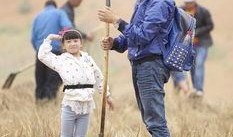 爸爸去哪在线观看,重温亲子时光，共度欢乐时光